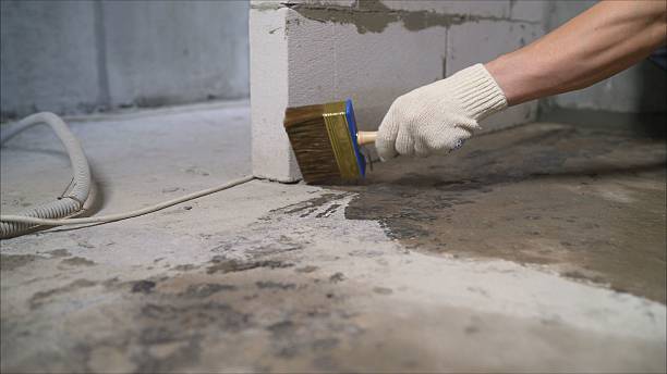 24/7 Emergency Wet Basement Repair experts in Alto, MI